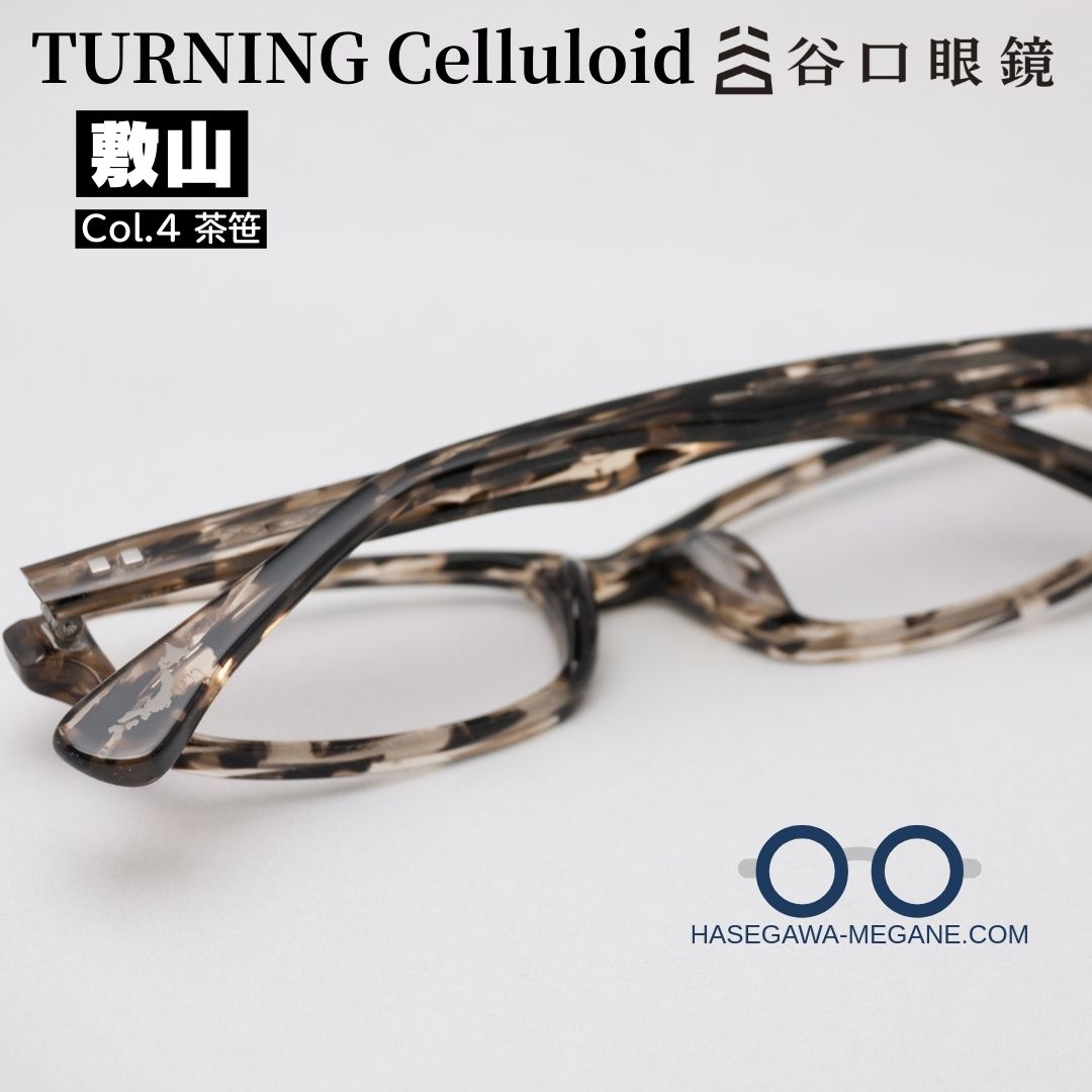 ターニング セルロイド 敷山 しきやま 茶笹 メガネ 裏側から写真