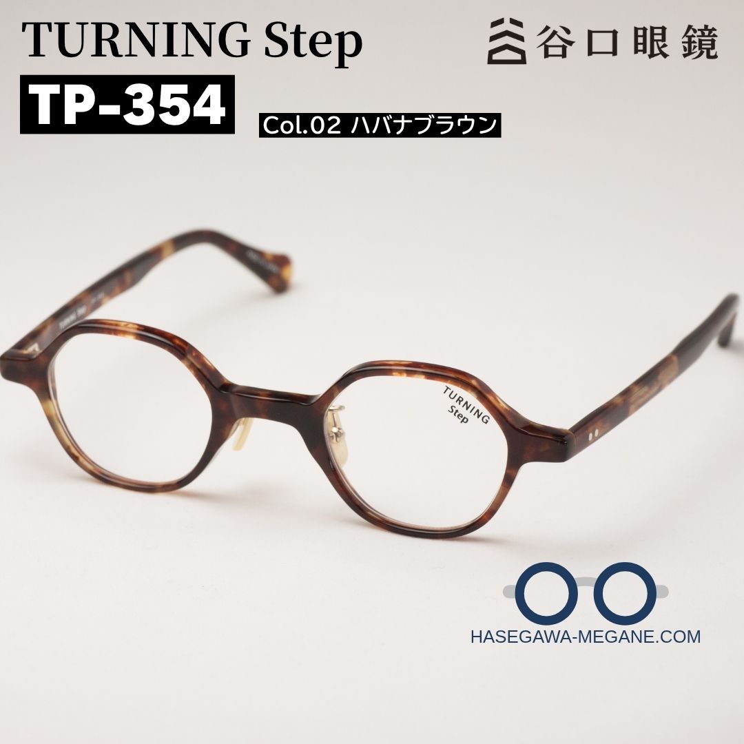 ターニングステップTP-354 カラー02 ハバナブラウン メイン写真